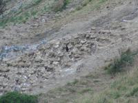 Albums/20060200-New Zealand 2006/20060314-Dunedin/45